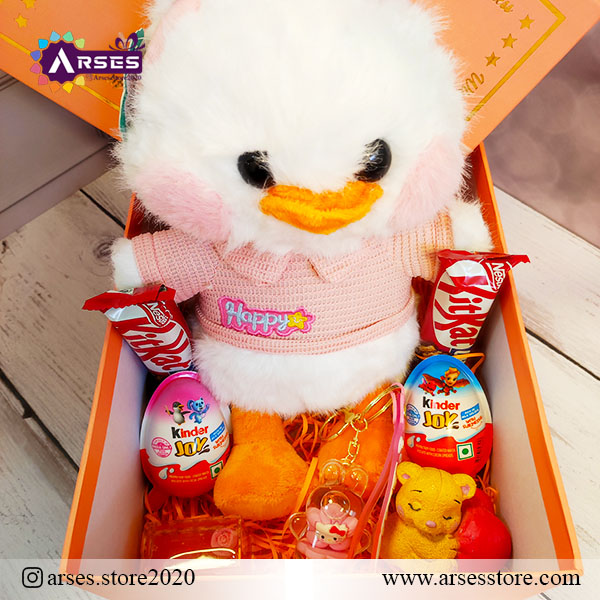 پک جوجه اردک2